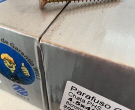 Parafuso Phillips cabeça chata 4.5×45 Welt